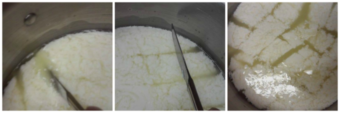 Mozz cutting curds.png