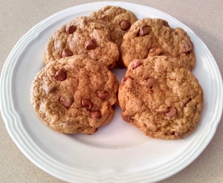 vegan chocolate chip cookies (2)